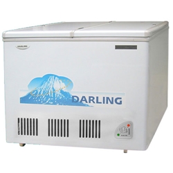 Tủ đông DARLING