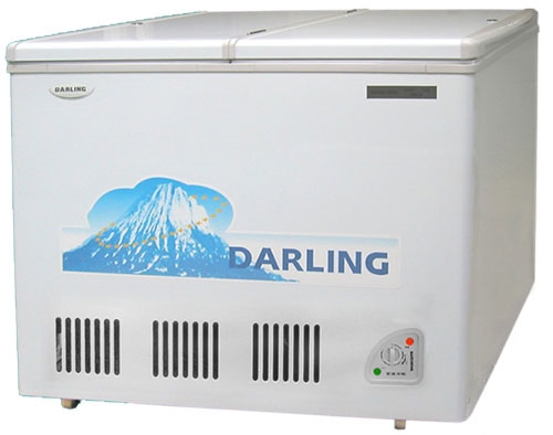 Tủ đông DARLING